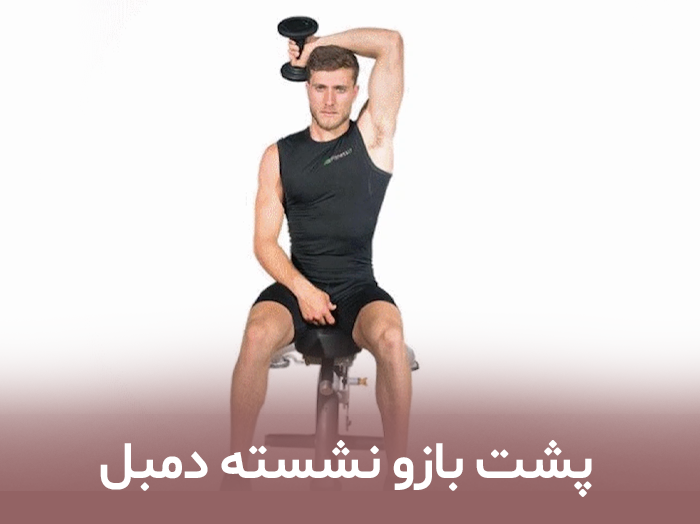 پشت بازو نشسته دمبل