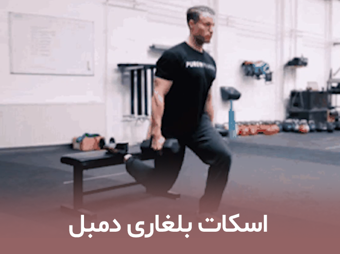 اسکات بلغاری دمبل