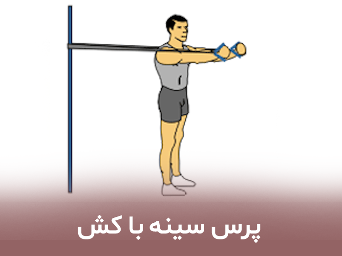 پرس سینه با کش